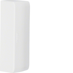 ATA207569010 Endstück schnittkaschierend aus ABS halogenfrei zu LFW 20x75mm reinweiß